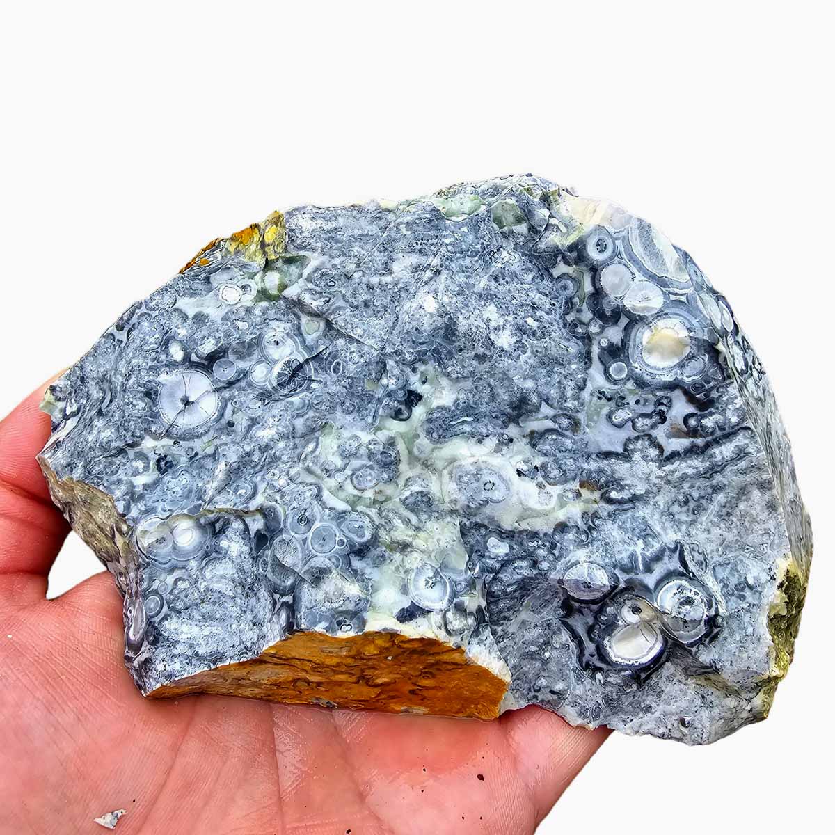 Galaxy Galactica Orbicular Rhyolite Jasper Rough Chunk