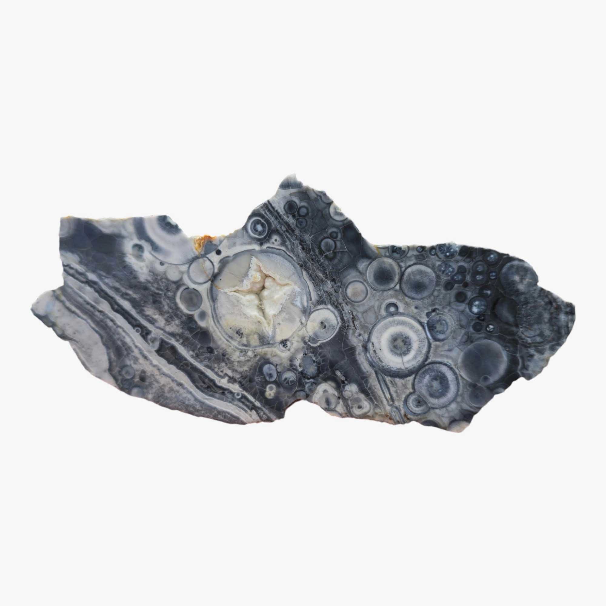 Galaxy Galactica Orbicular Rhyolite Lapidary Cutting Rough Chunk Stone Cut Face