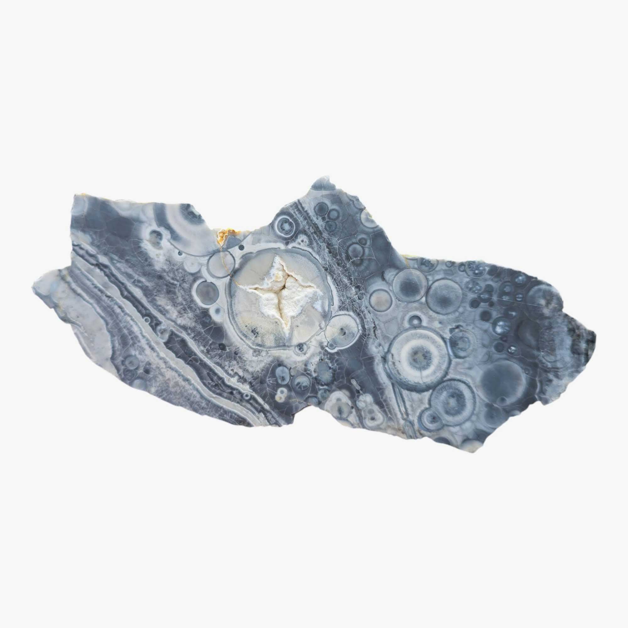 Galaxy Galactica Orbicular Rhyolite Lapidary Cutting Rough Chunk Stone Cut Face