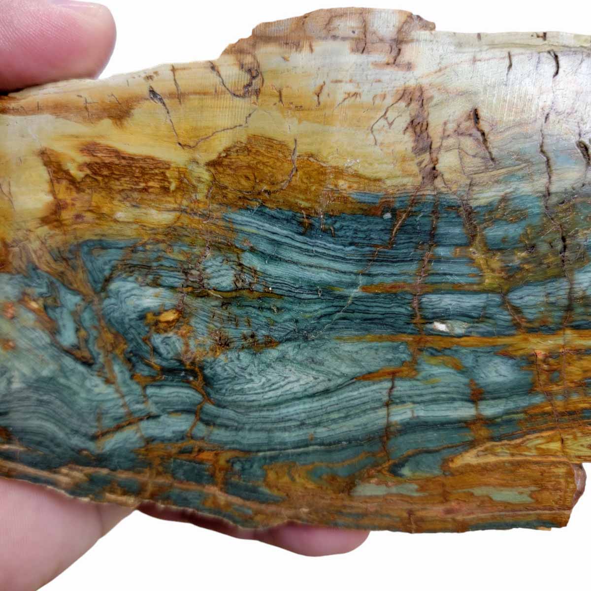 Gary Green Larsonite Freedom Jasper Slab!  Lapidary Stone Slab!