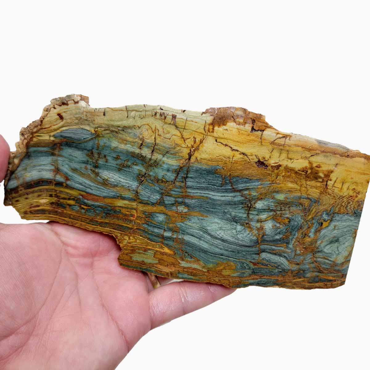 Gary Green Larsonite Freedom Jasper Slab!  Lapidary Stone Slab!