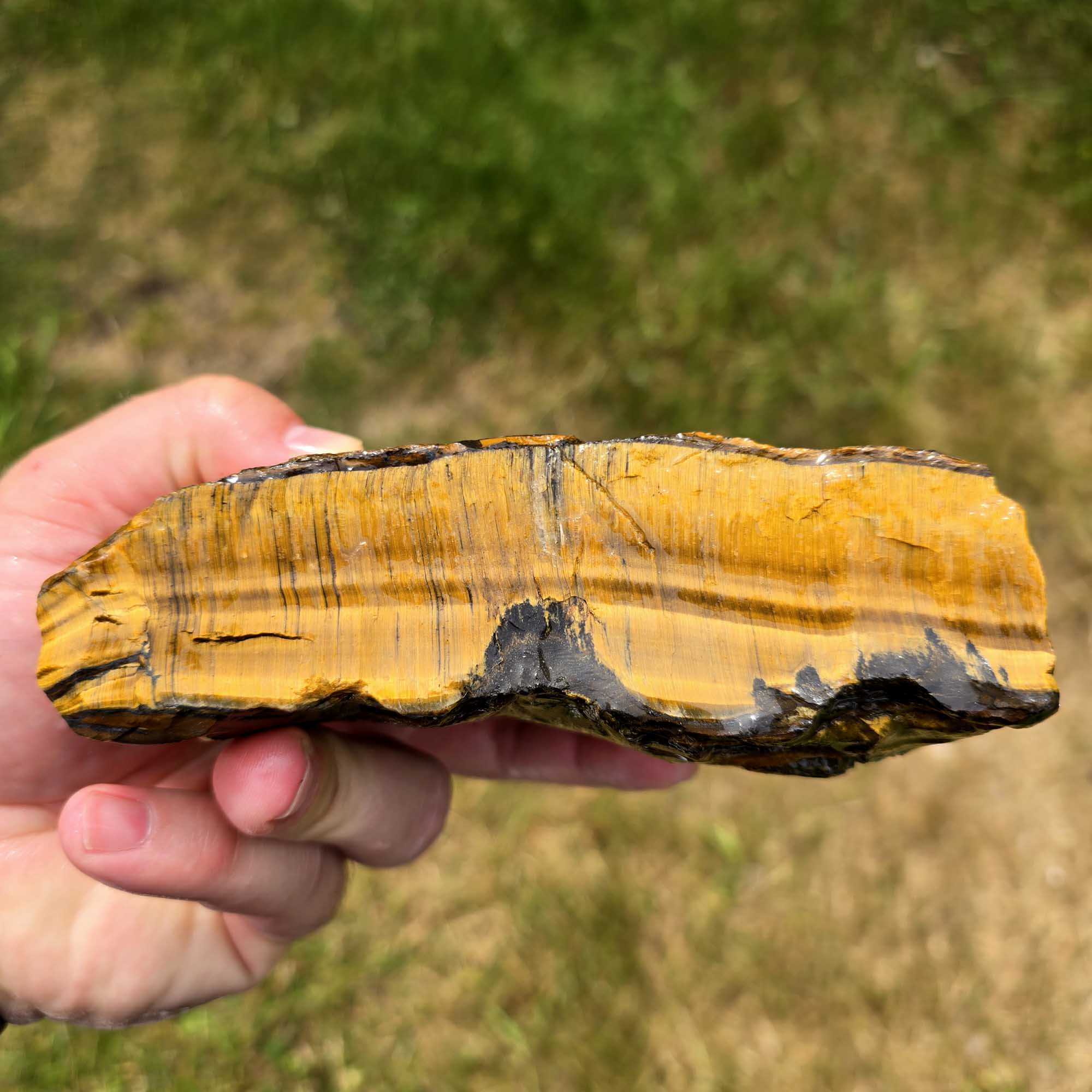 Golden Tiger Eye Cutting Rough Flatrate Lapidary Stone