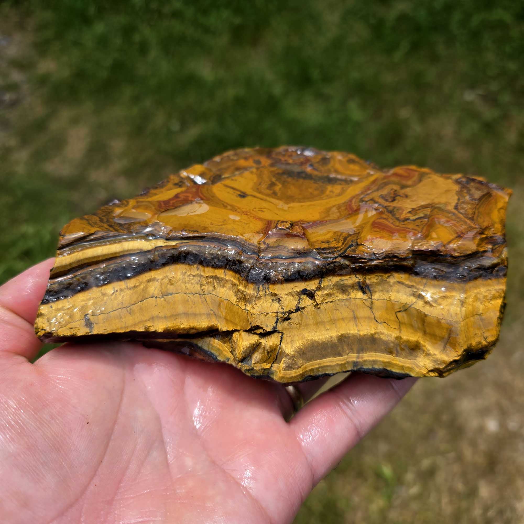 Golden Tiger Eye Cutting Rough Flatrate Lapidary Stone