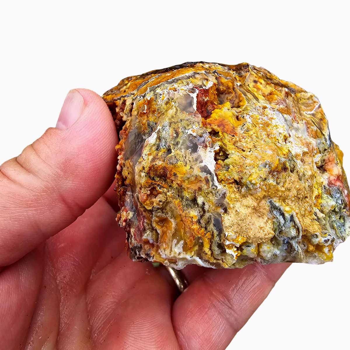 Regency Rose Plume Agate Lapidary Cutting Rough Chunk