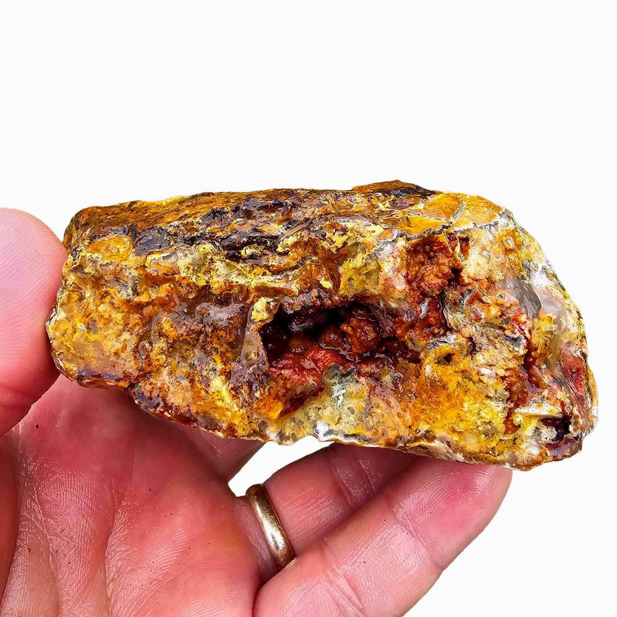 Regency Rose Plume Agate Lapidary Cutting Rough Chunk