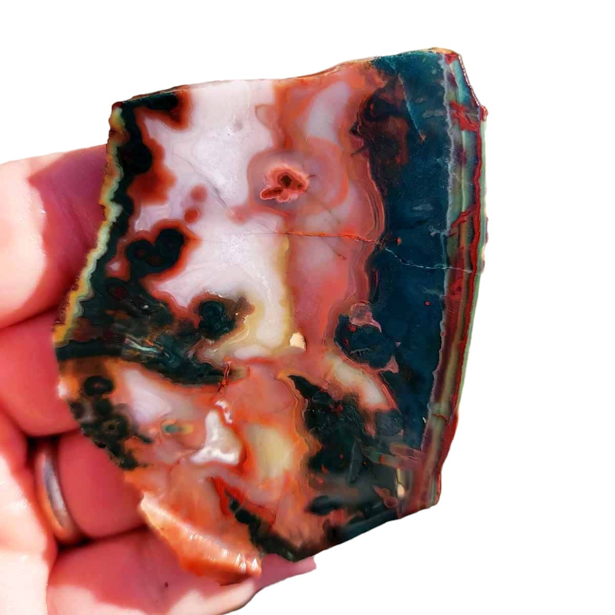 High Grade Idaho Sunset Jasper Slab!  Lapidary Stone Slab!