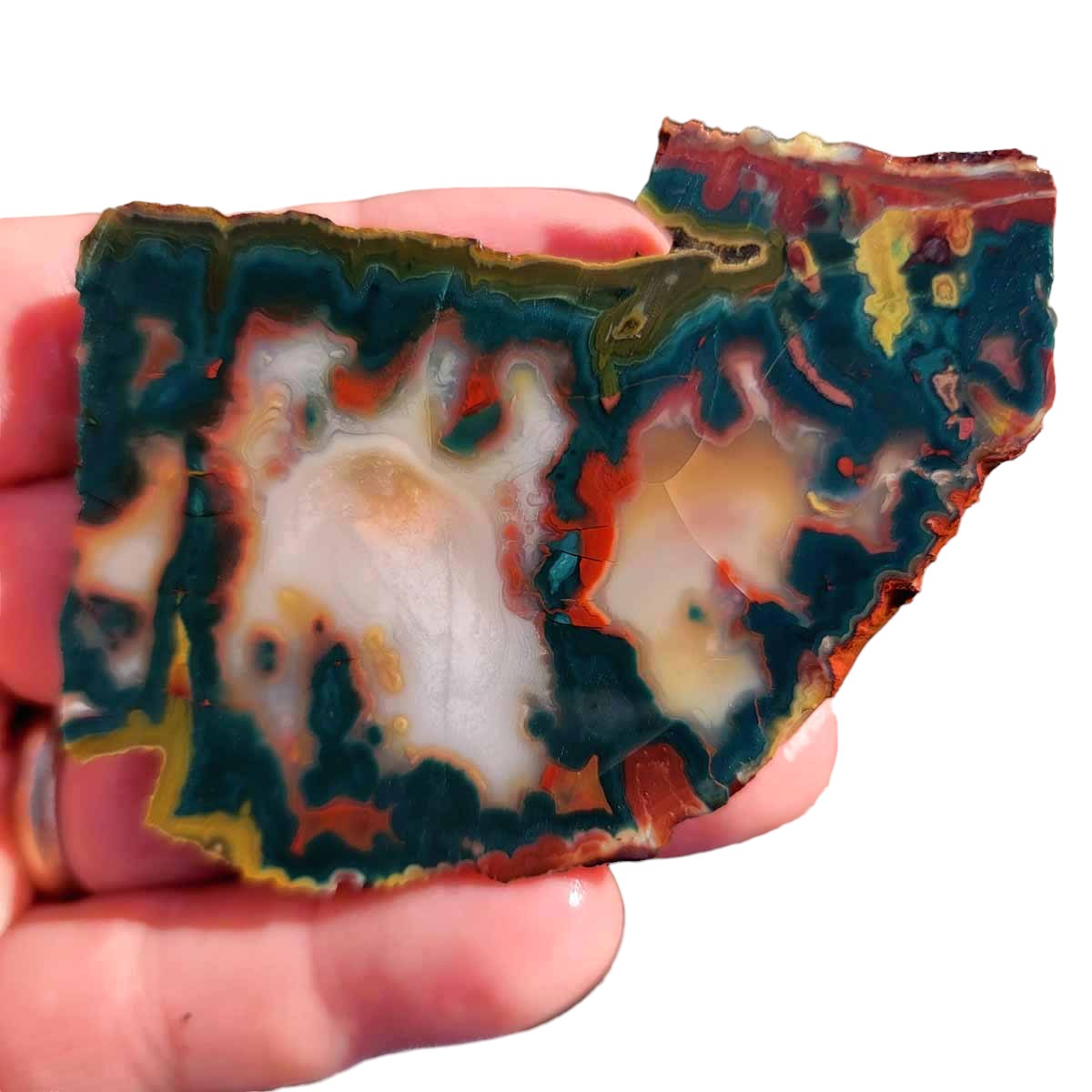 High Grade Idaho Sunset Jasper Slab!  Lapidary Stone Slab!