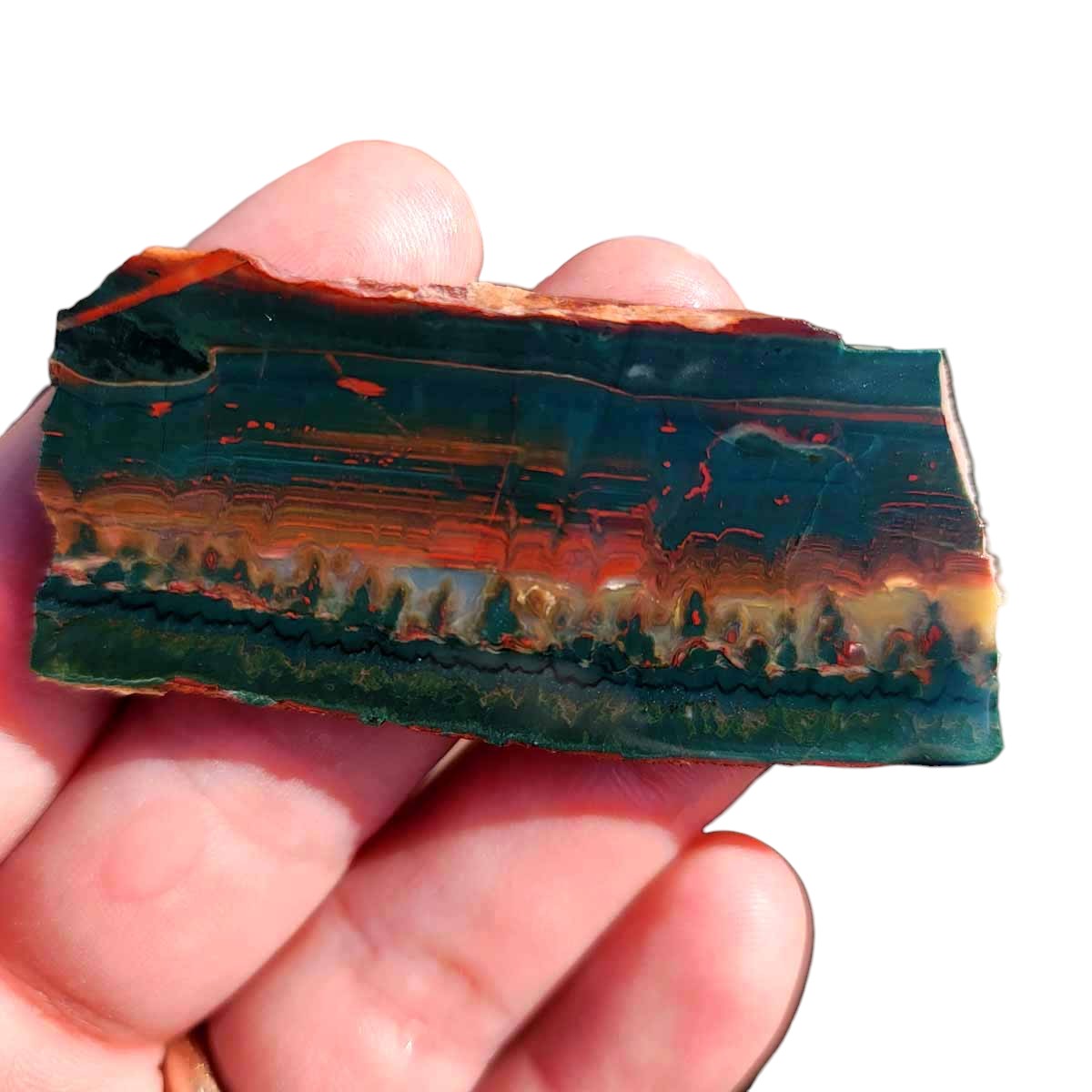 Idaho Sunset Jasper Slab!  Lapidary Stone Slab!