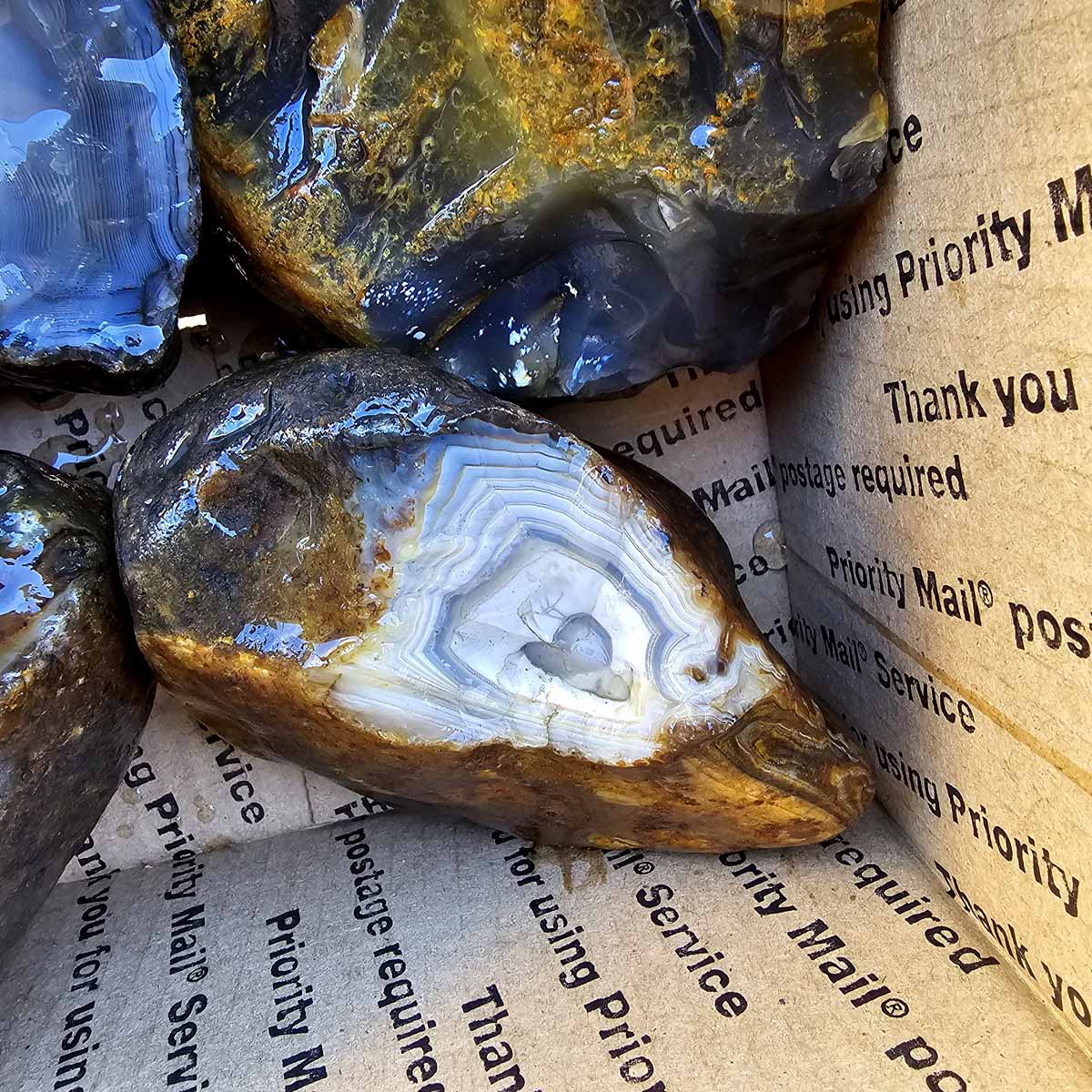 Old Stock India Black Skin Agate Rough Flatrate Box