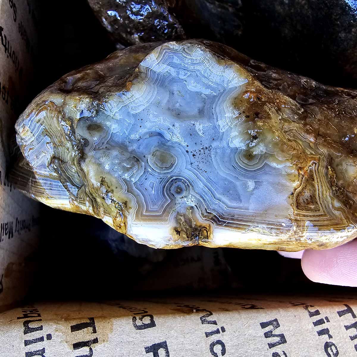 Old Stock India Black Skin Agate Rough Flatrate Box