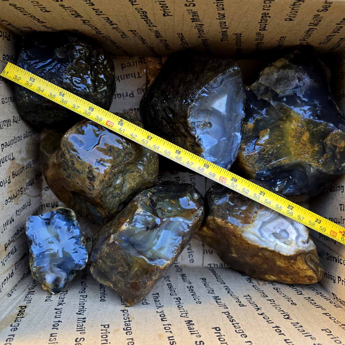 Old Stock India Black Skin Agate Rough Flatrate Box