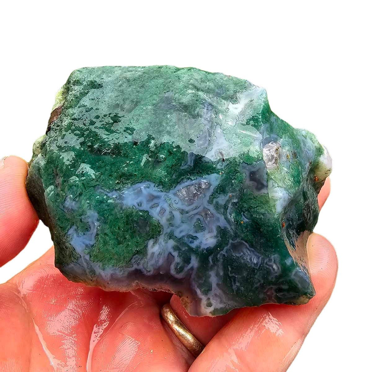 India Tree Moss Agate Cutting Rough Chunk!