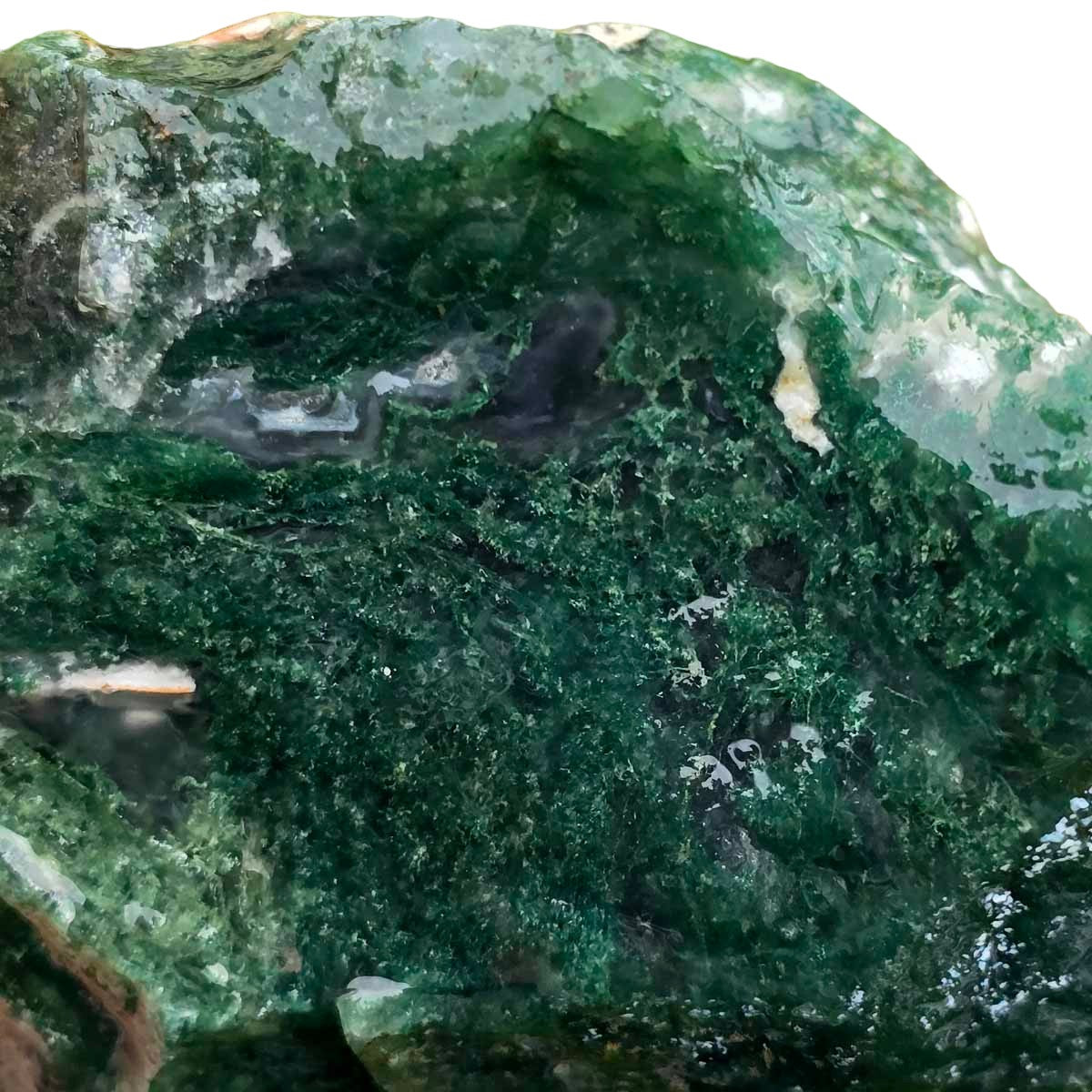 India Tree Moss Agate Cutting Rough Chunk!