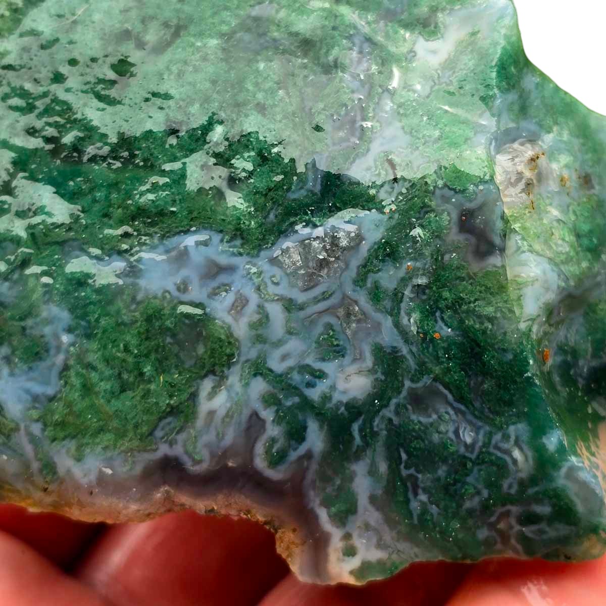 India Tree Moss Agate Cutting Rough Chunk!