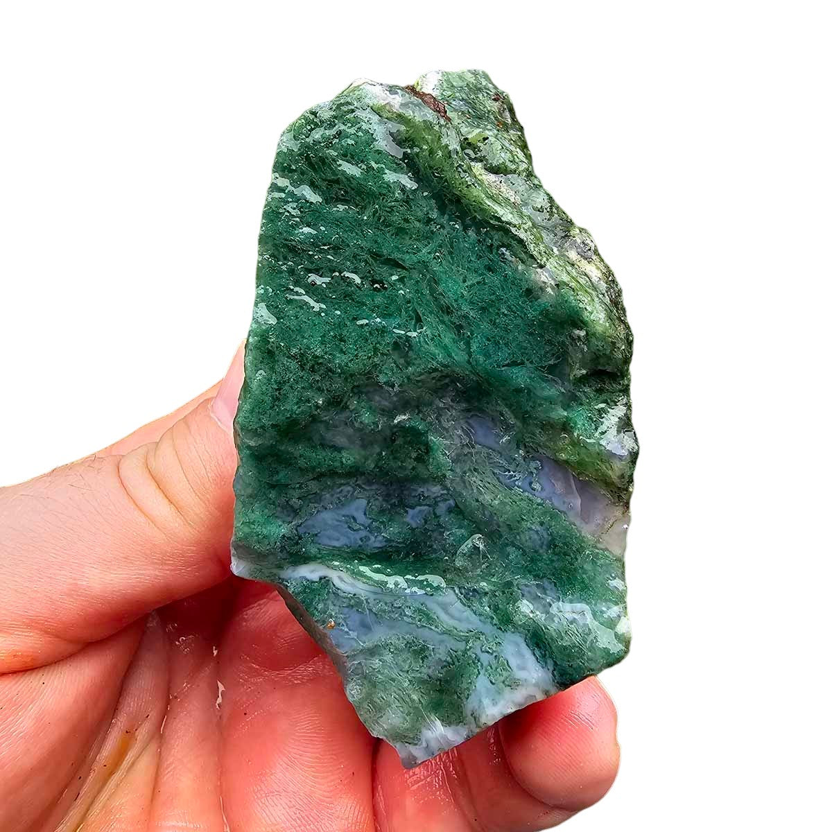 India Tree Moss Agate Cutting Rough Chunk!