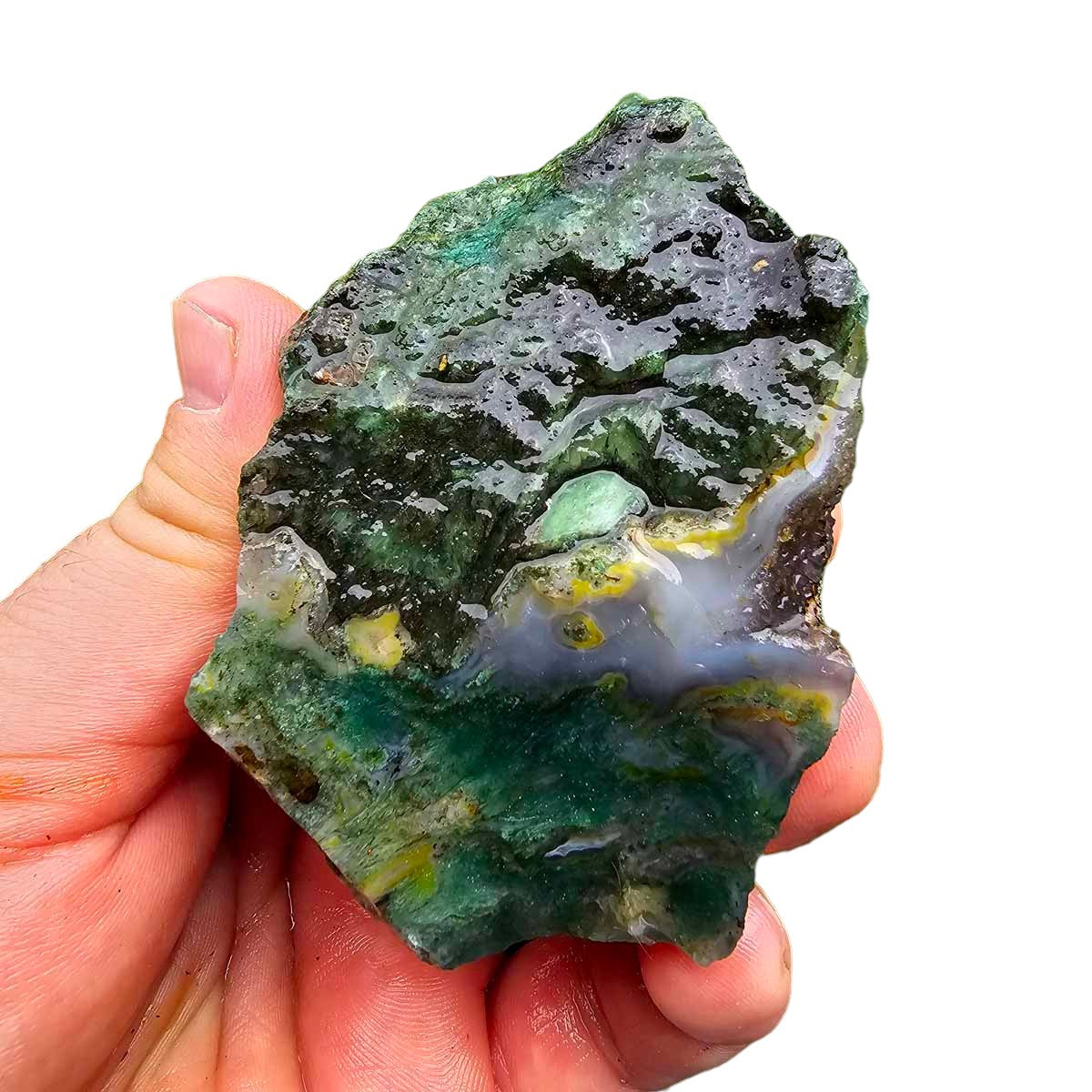 India Tree Moss Agate Cutting Rough Chunk!