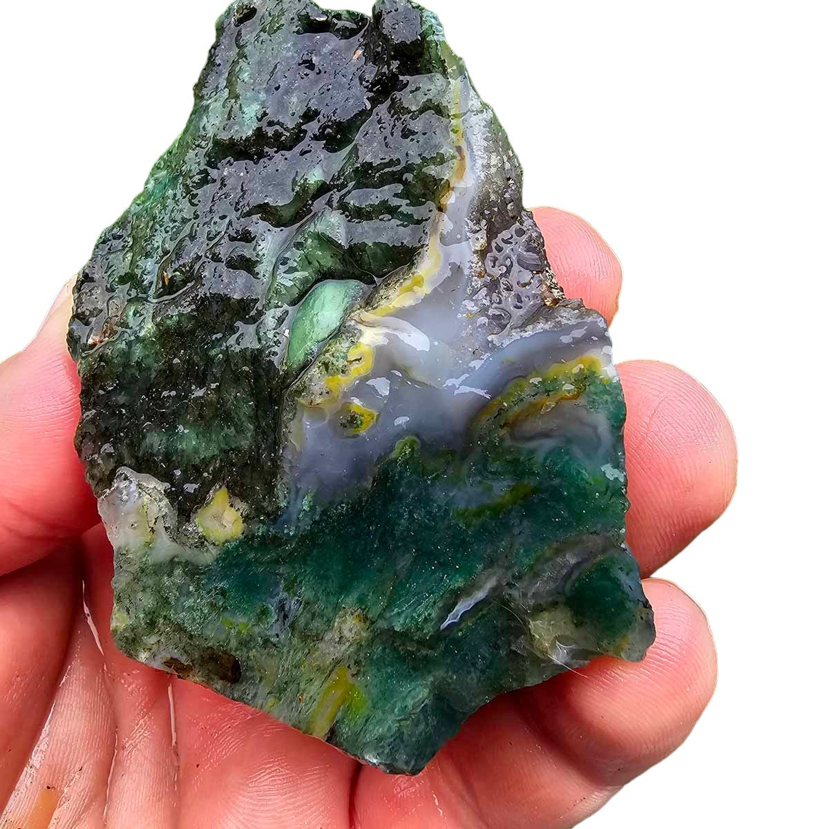 India Tree Moss Agate Cutting Rough Chunk!