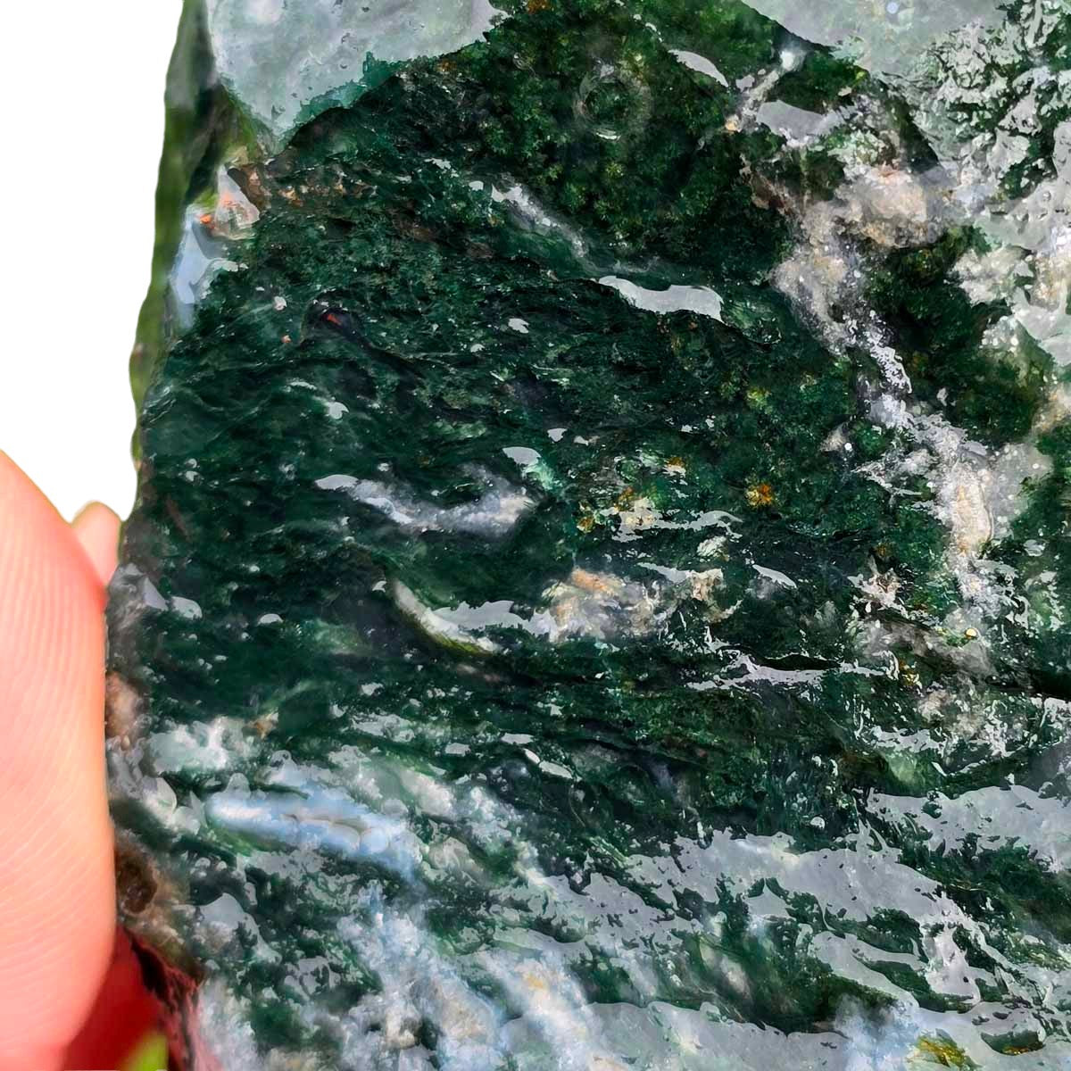 India Tree Moss Agate Cutting Rough Chunk!