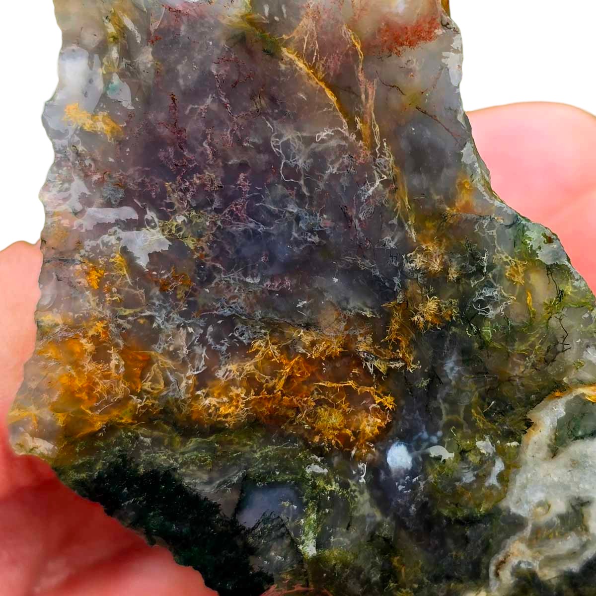 India Tree Moss Agate Cutting Rough Chunk!