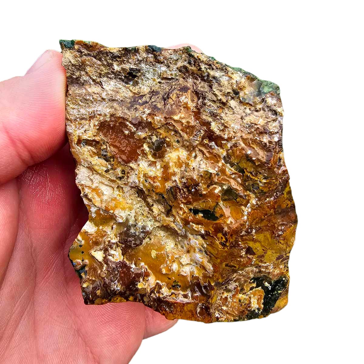 Kaleidoscope Jasper Rough Chunk!