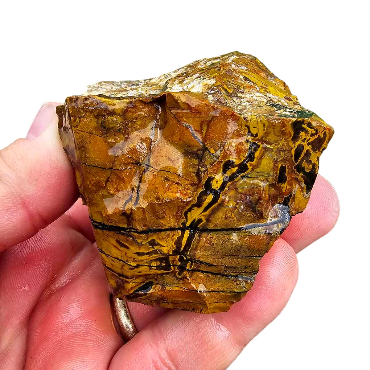 Kaleidoscope Jasper Rough Chunk!