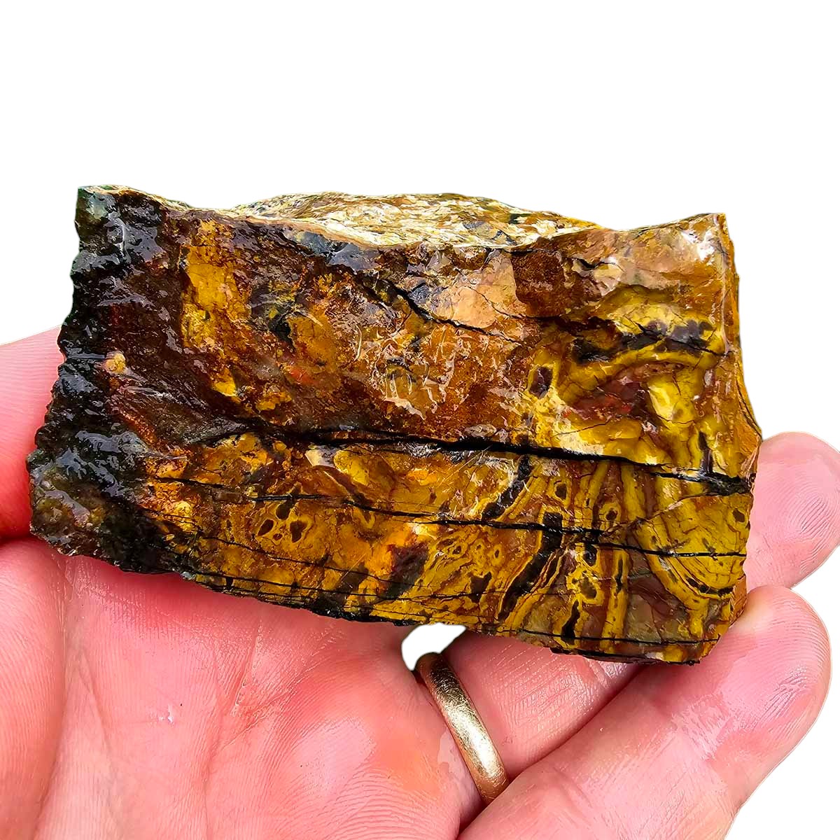 Kaleidoscope Jasper Rough Chunk!