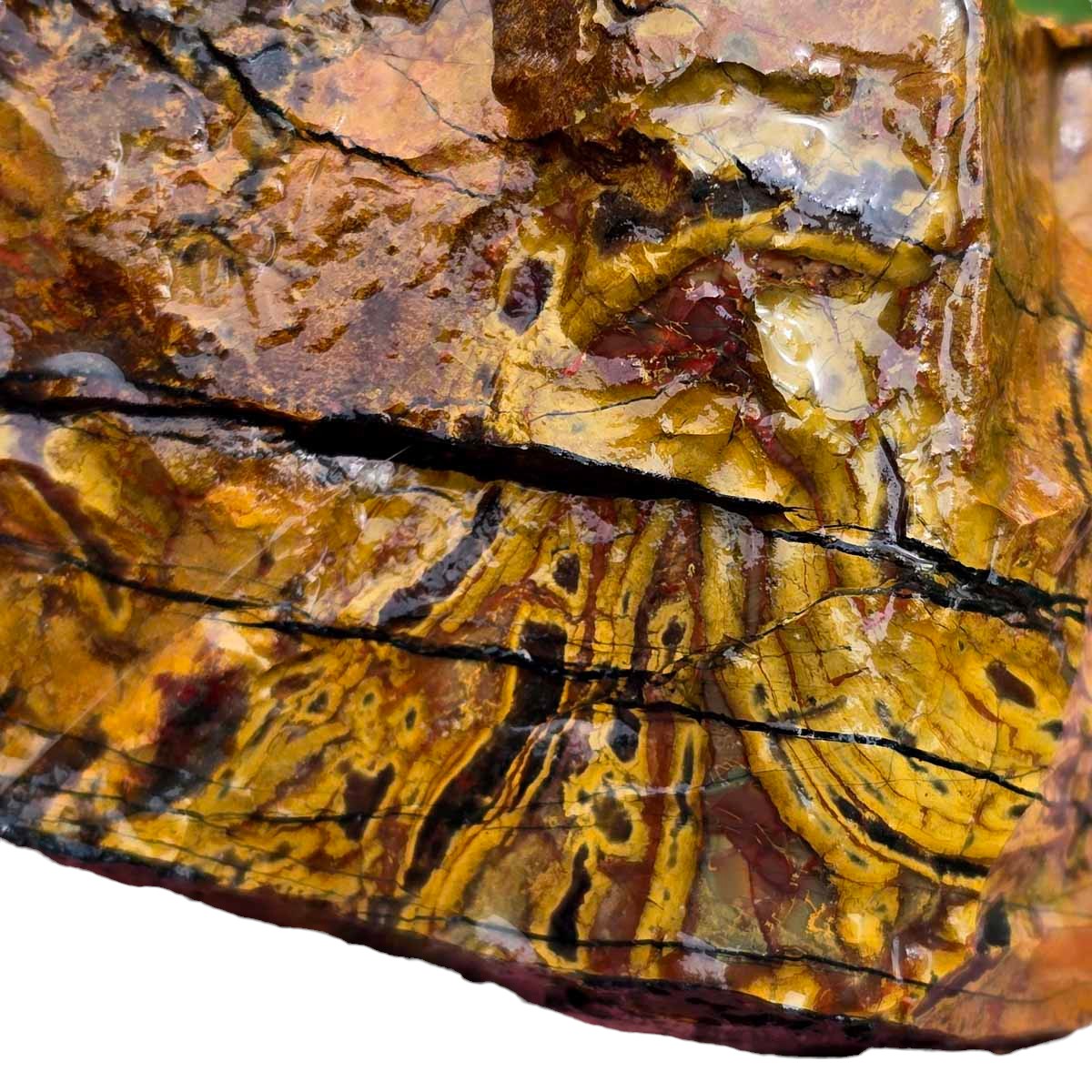 Kaleidoscope Jasper Rough Chunk!