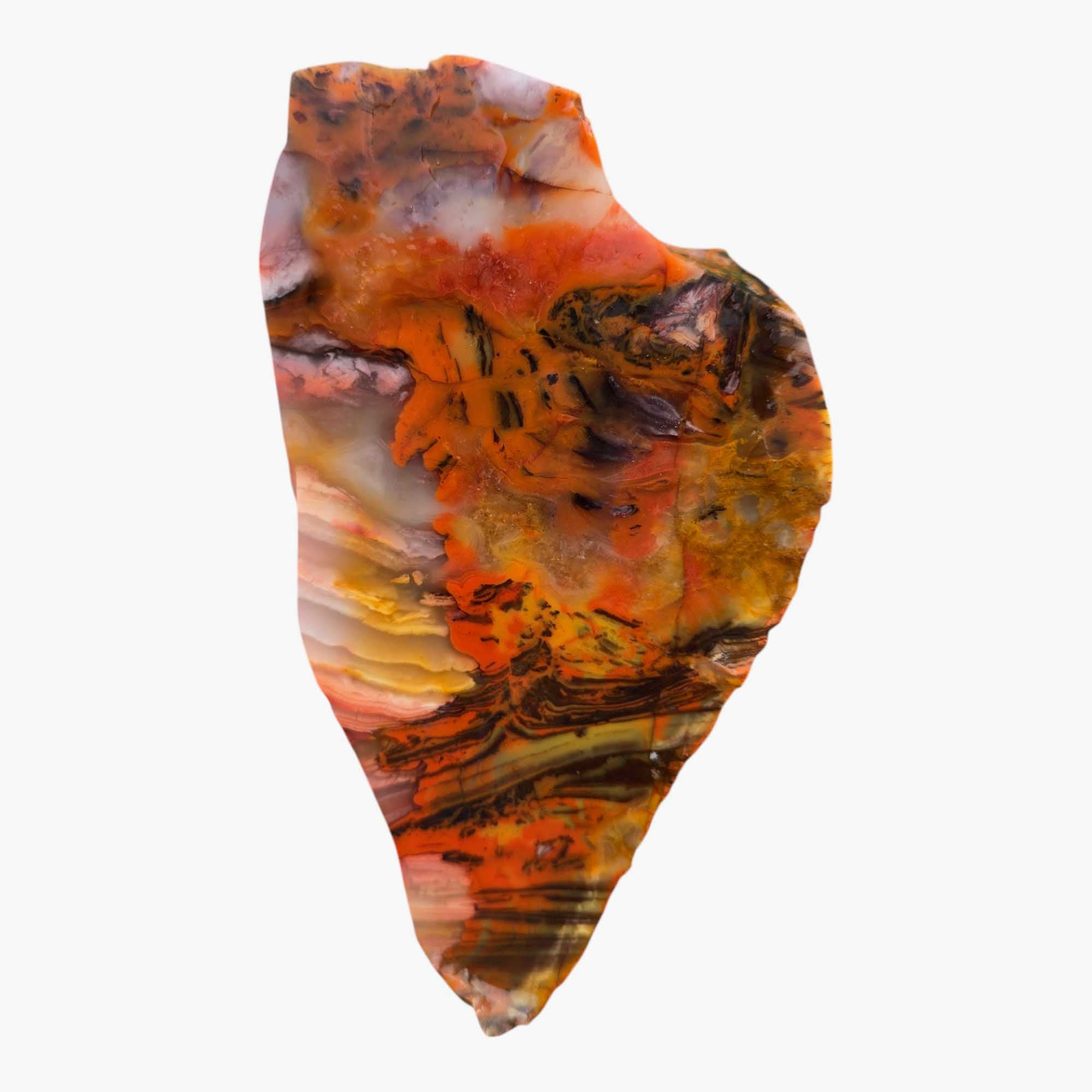 Kowallabe Quartzsite Lapidary Cutting Rough Chunk Stone Cut Face