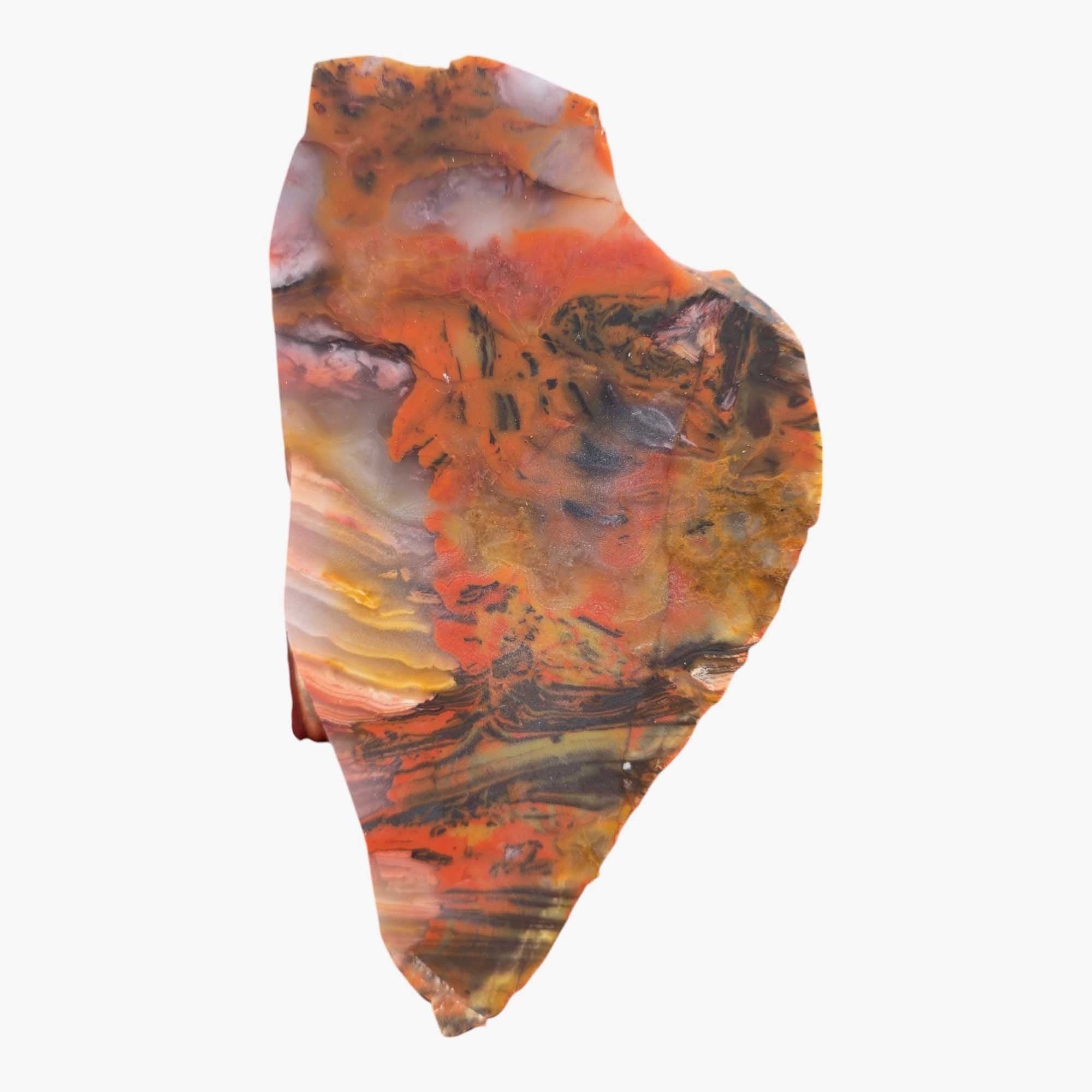 Kowallabe Quartzsite Lapidary Cutting Rough Chunk Stone Cut Face