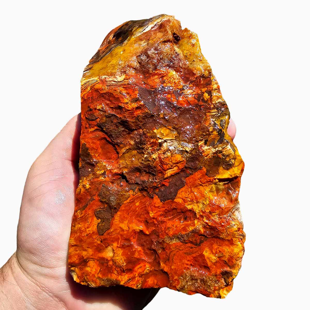 Kowallabe Quartzsite Lapidary Rough Chunk