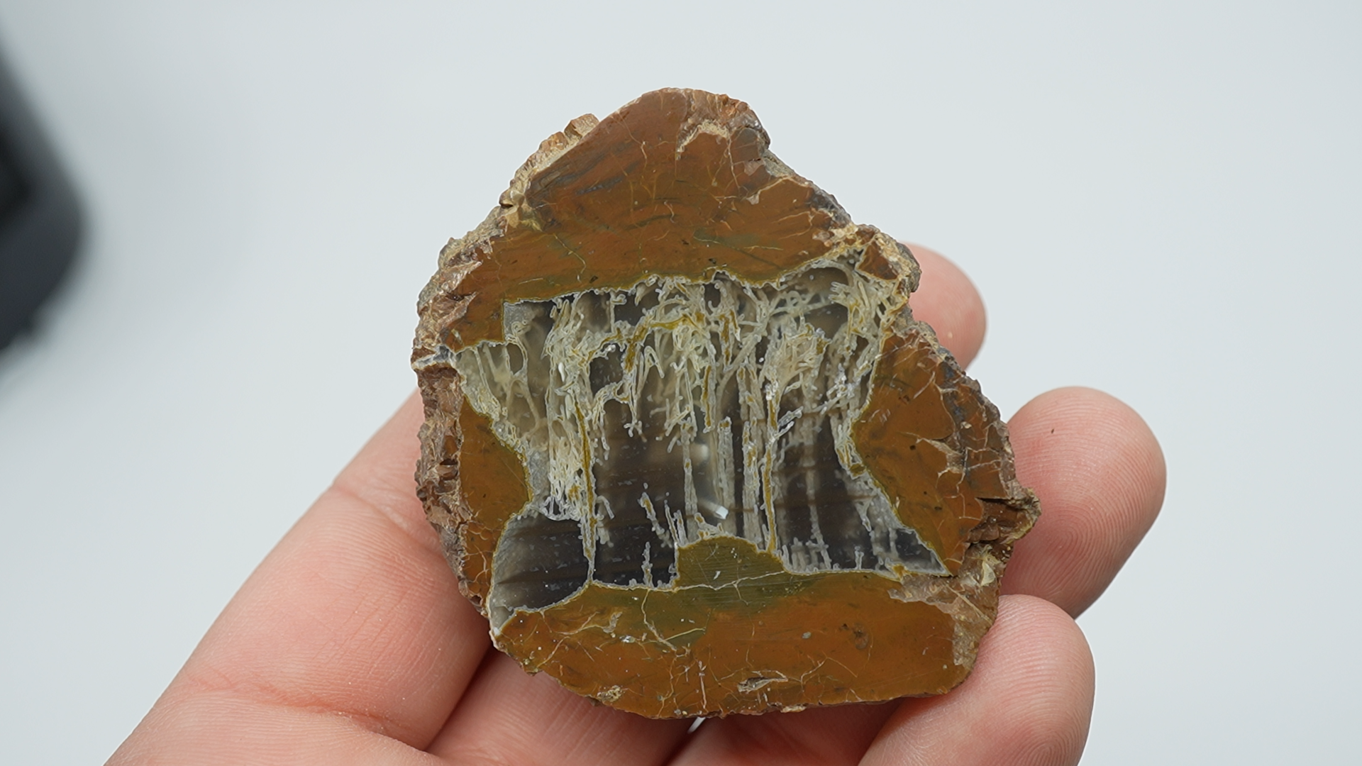 Cut Assorted Thundereggs - LC-0030