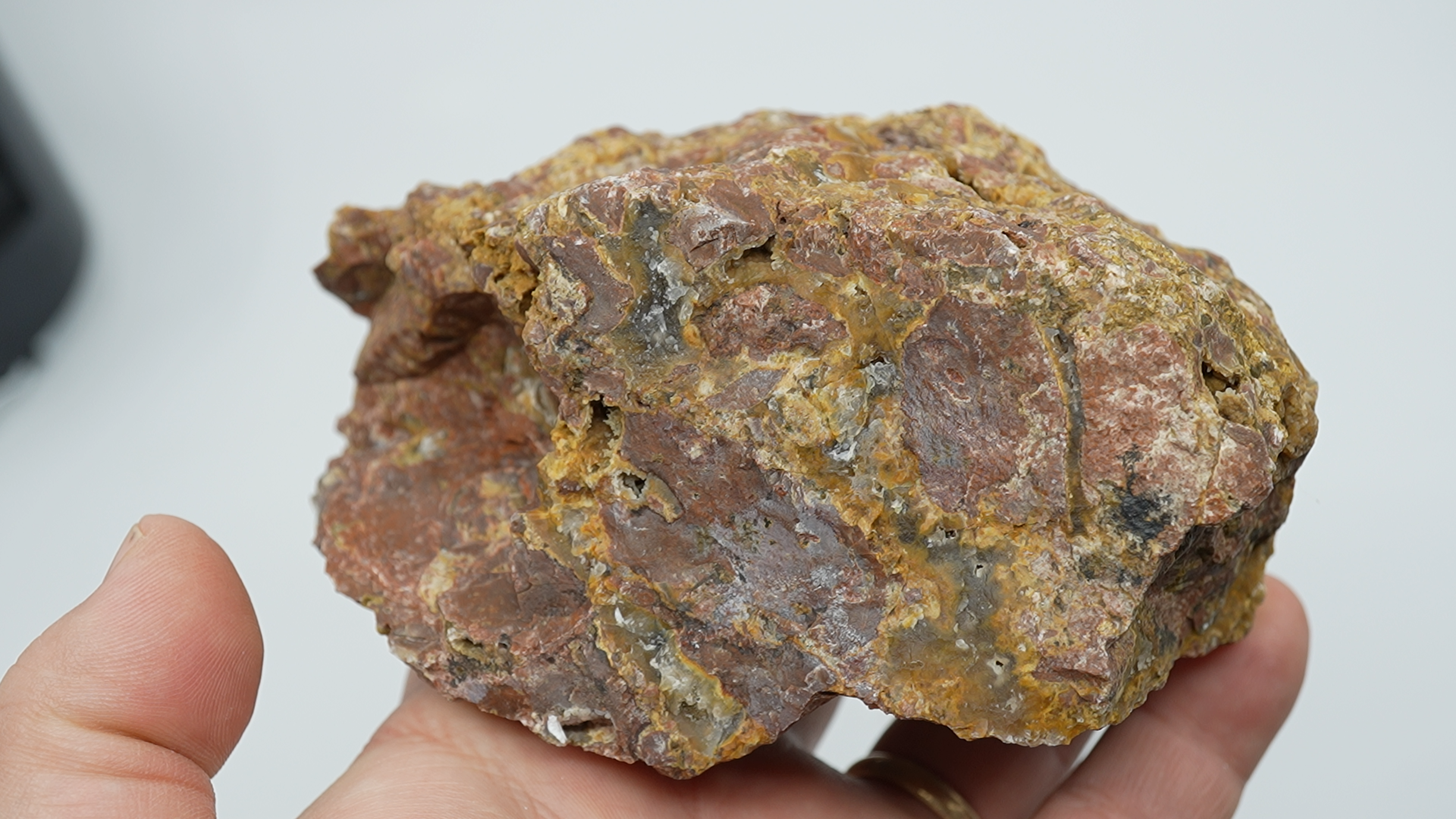 Eagle Rock Plume Agate - Rough - LC-0036