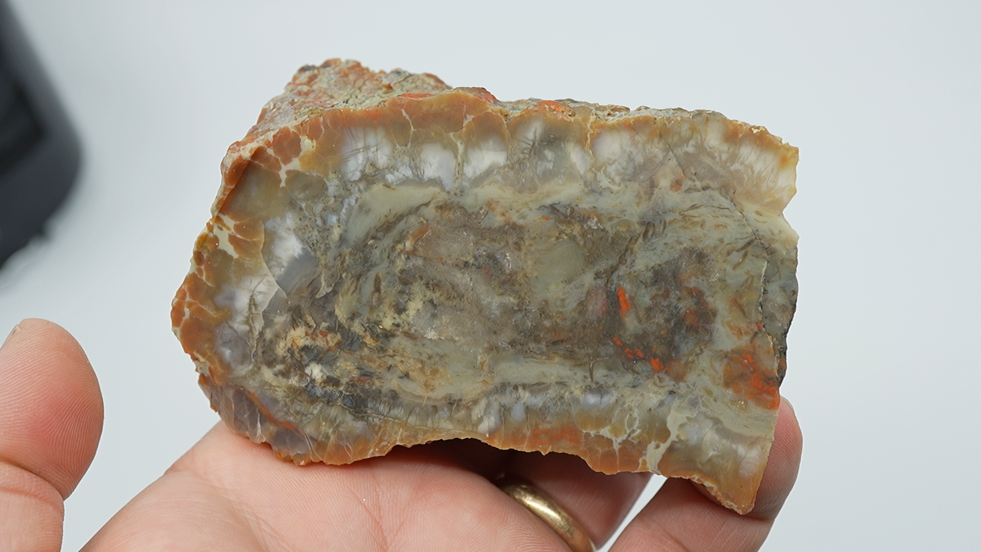 Coprolite Agate - Cut - LC-0043