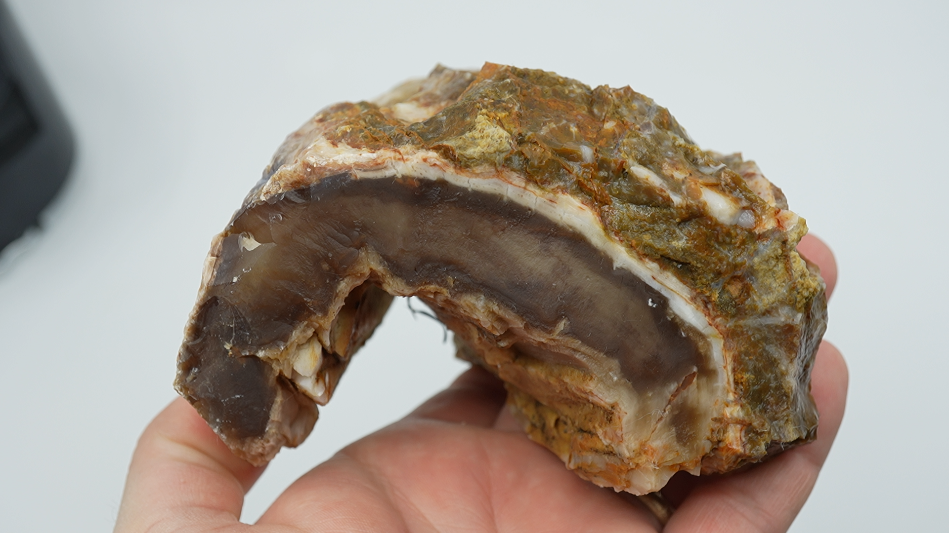 Mixed Stones - Saddle Mountain Petrified Wood - LC-0045