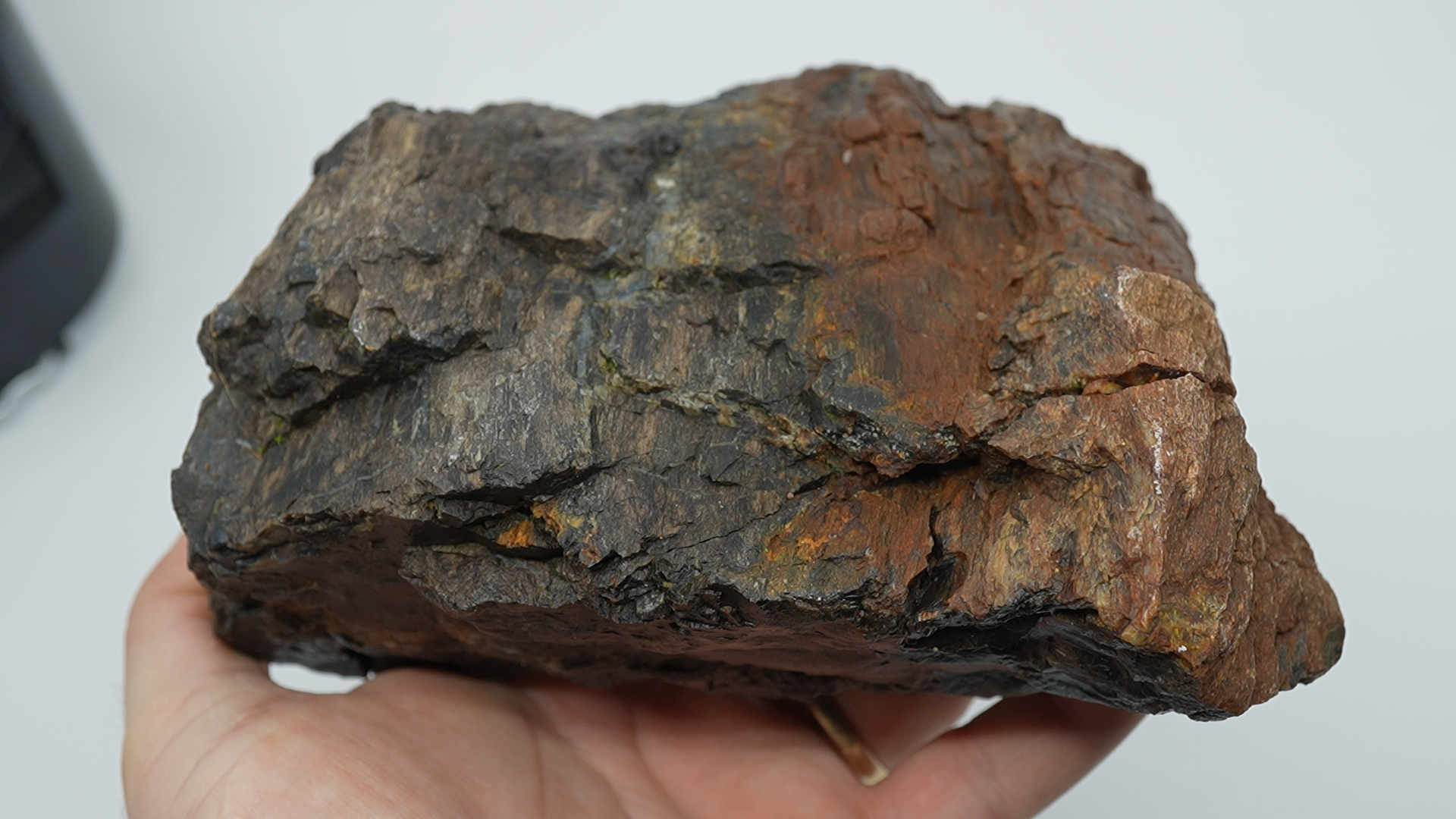 Mixed Stones - Petrified Wood - LC-0046