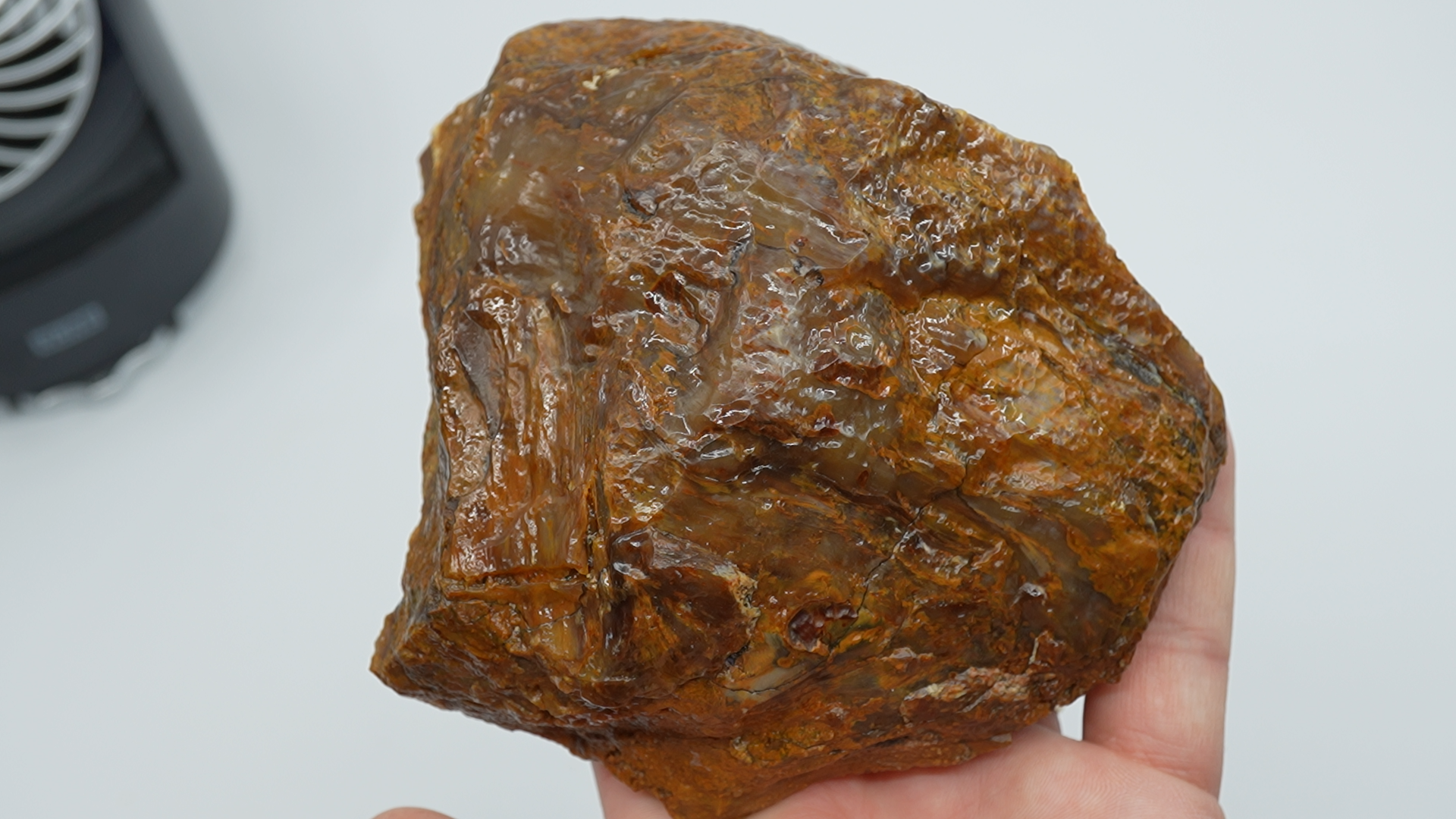 Mixed Stones - Petrified Wood - LC-0050