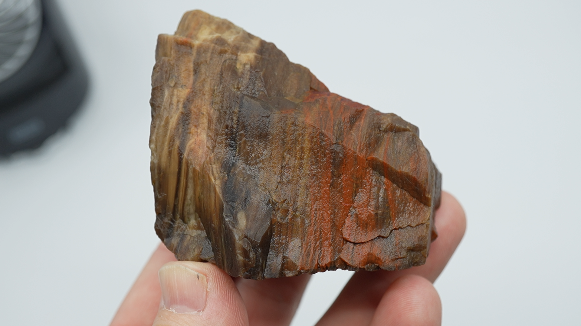 Mixed Stones - Petrified Wood - LC-0051