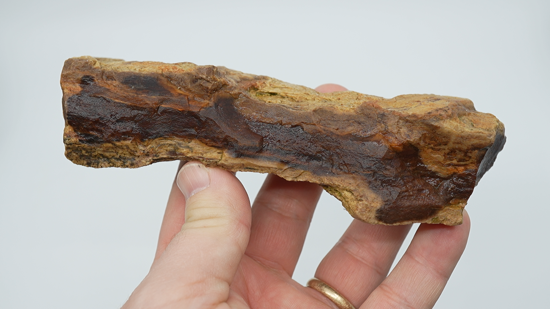 Mixed Stones - Petrified Wood - LC-0058