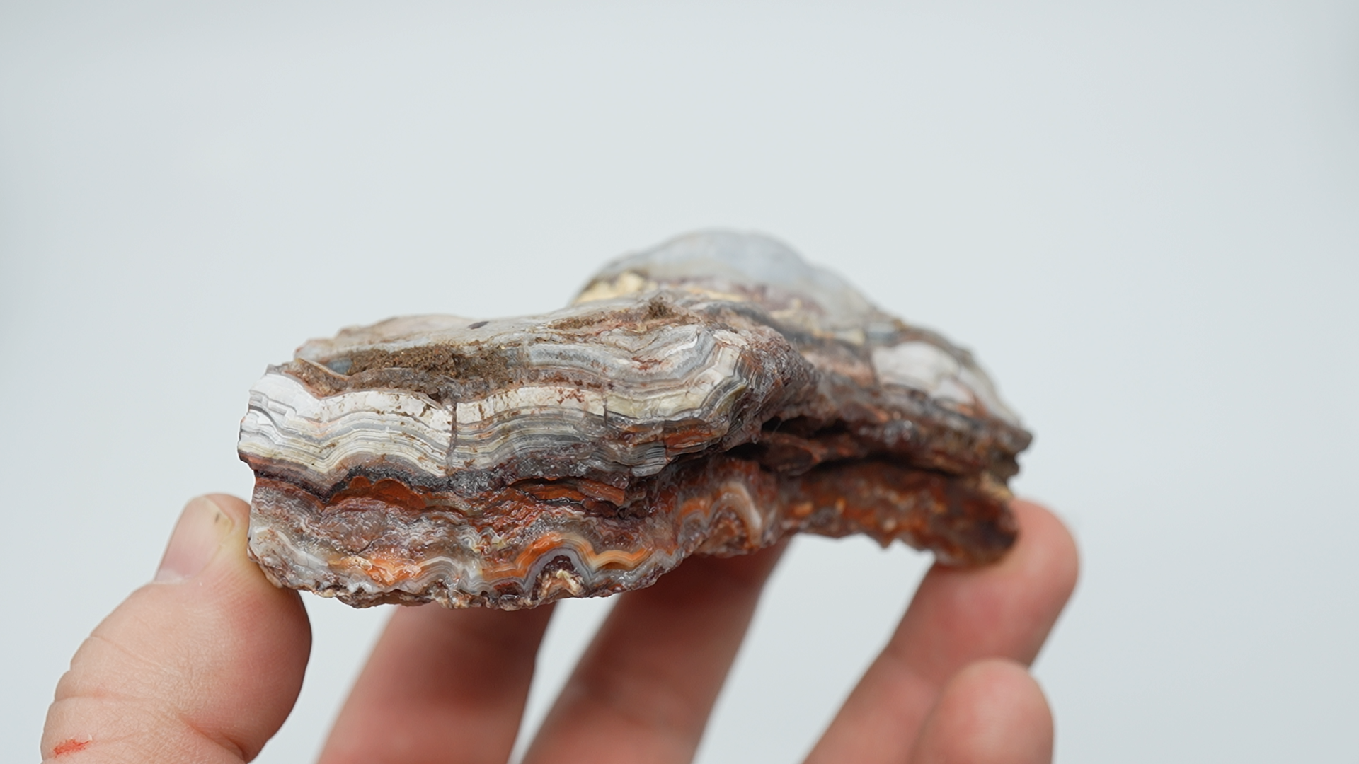 Crazy Lace Agate Rough - LC-0073