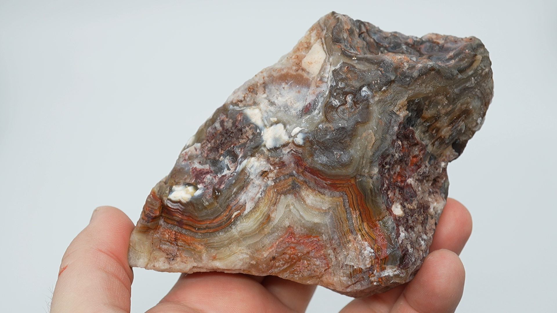 Crazy Lace Agate Rough - A Grade - LC-0074