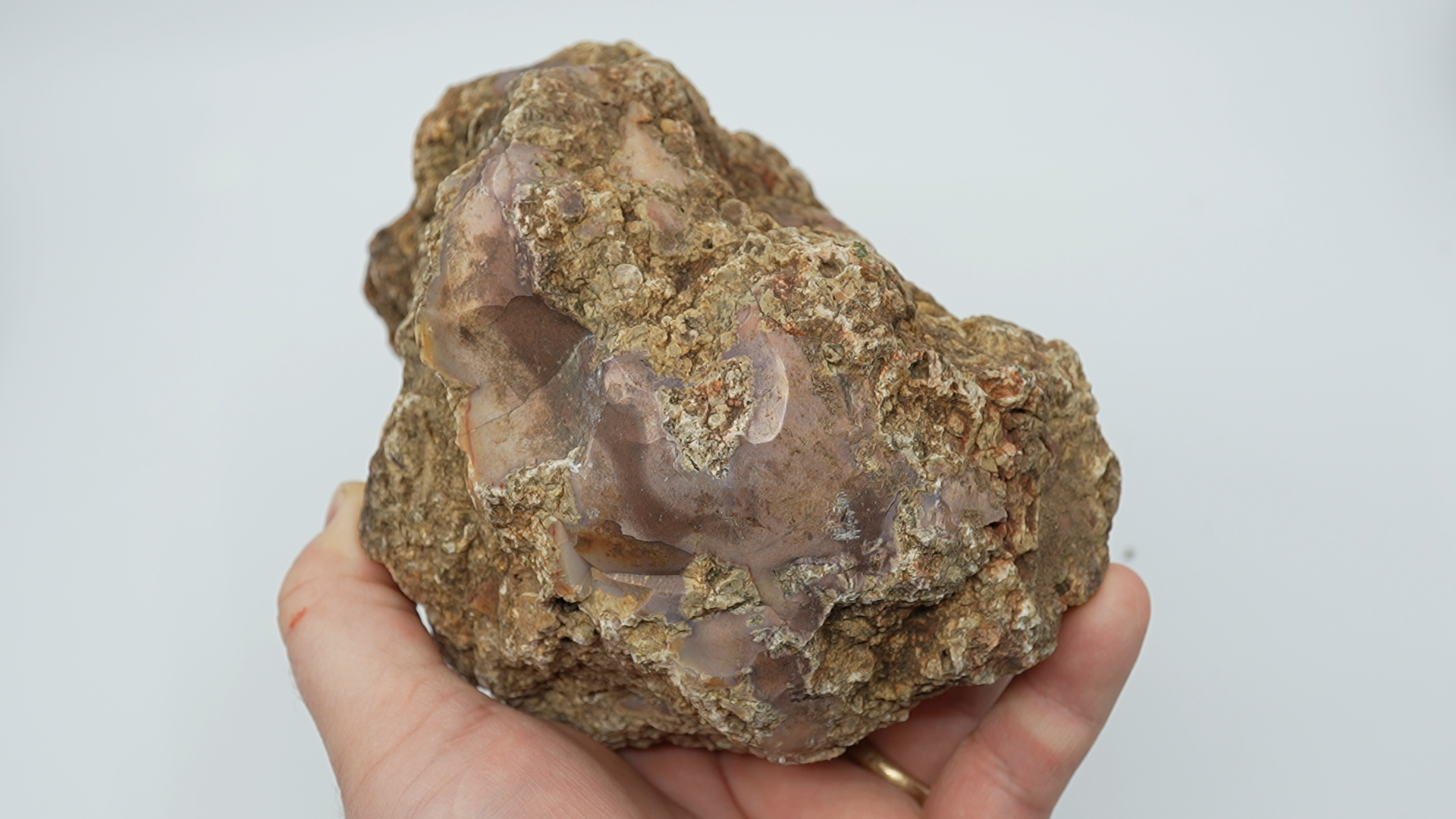 White Fir Thunderegg Rough - LC-0076