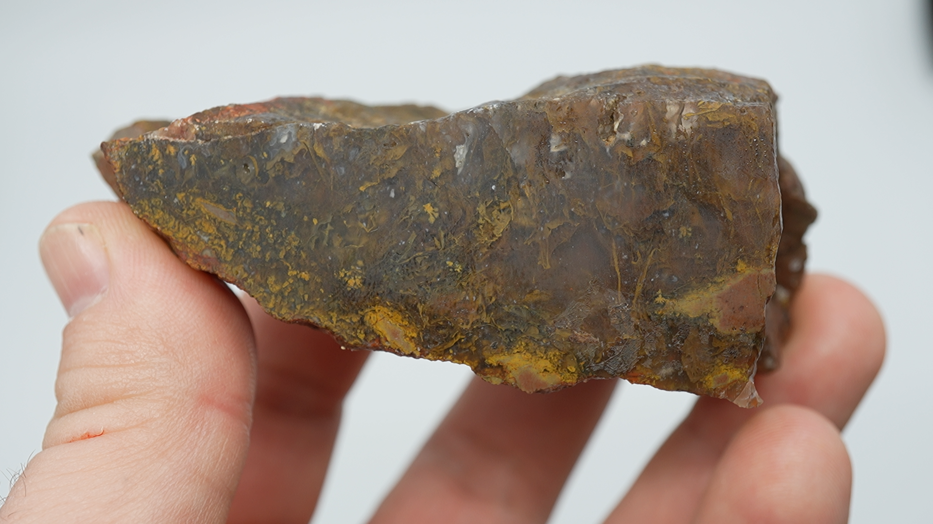 Mixed Stones - Maury Mountain Moss Agate - LC-0081