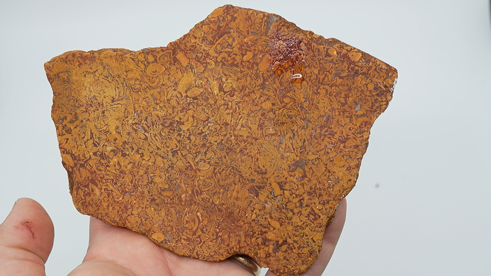 Mixed Stones - Script Stone - LC-0086