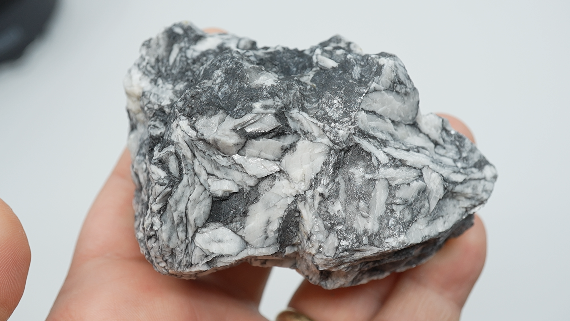 Pinolith / Pinolite Rough - LC-0091