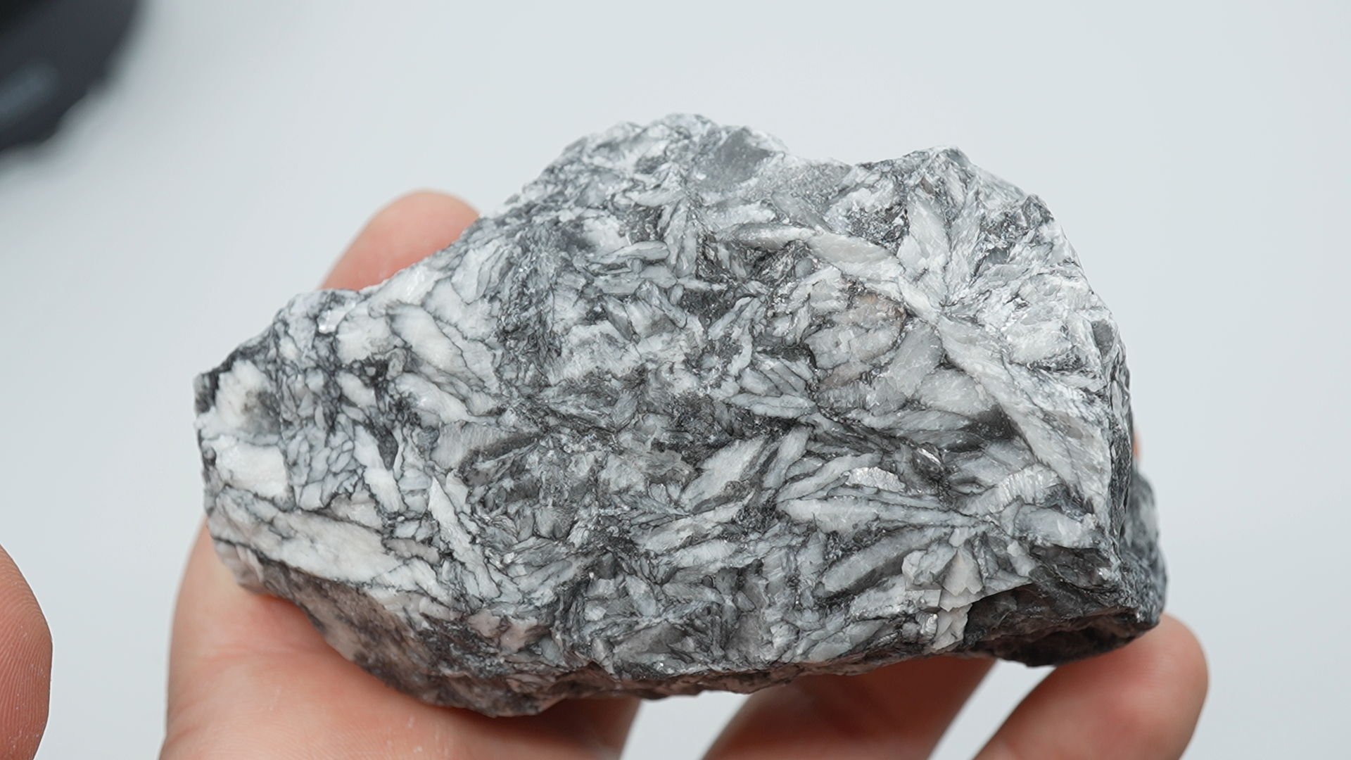 Pinolith / Pinolite Rough - LC-0092