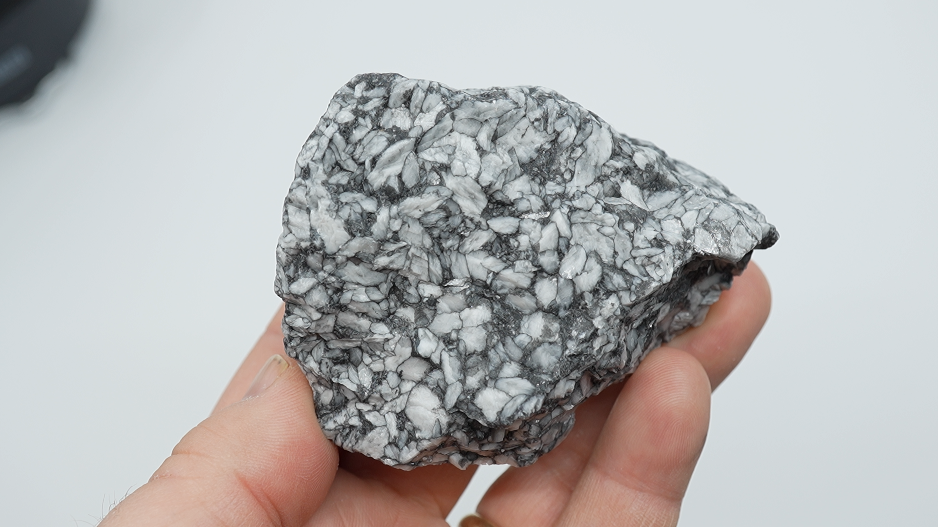 Pinolith / Pinolite Rough - LC-0098