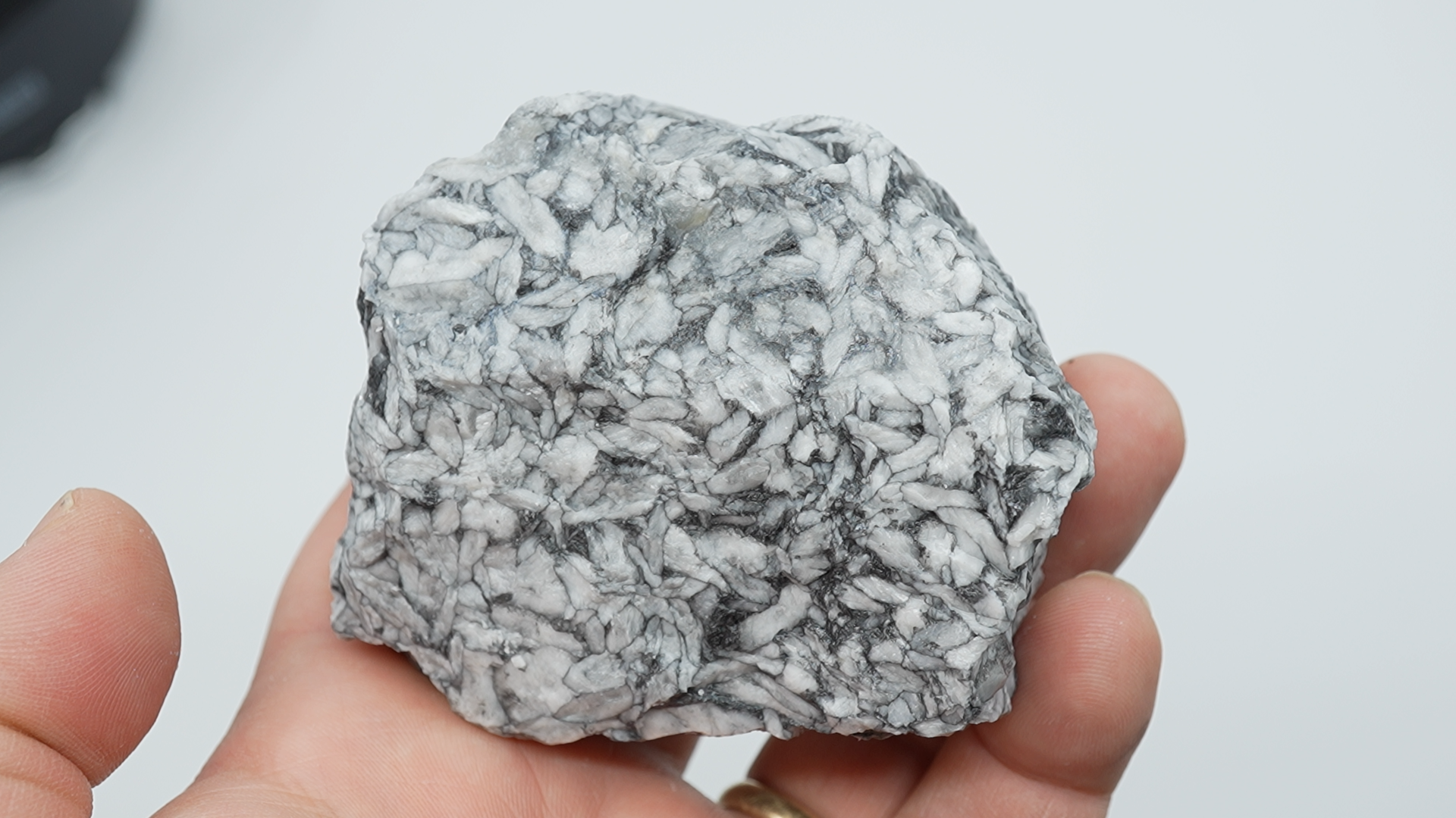 Pinolith / Pinolite Rough - LC-0101