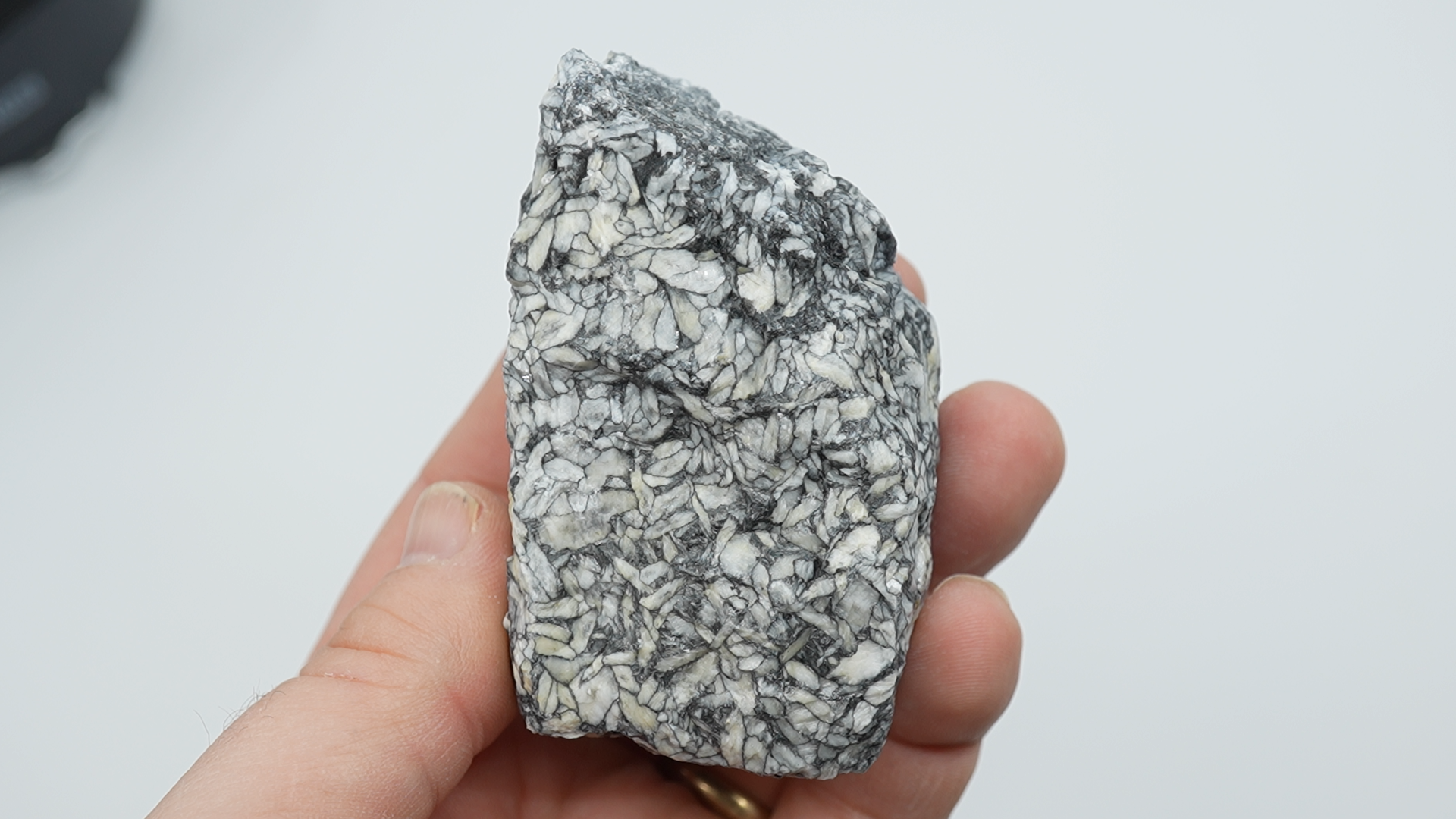 Pinolith / Pinolite Rough - LC-0108