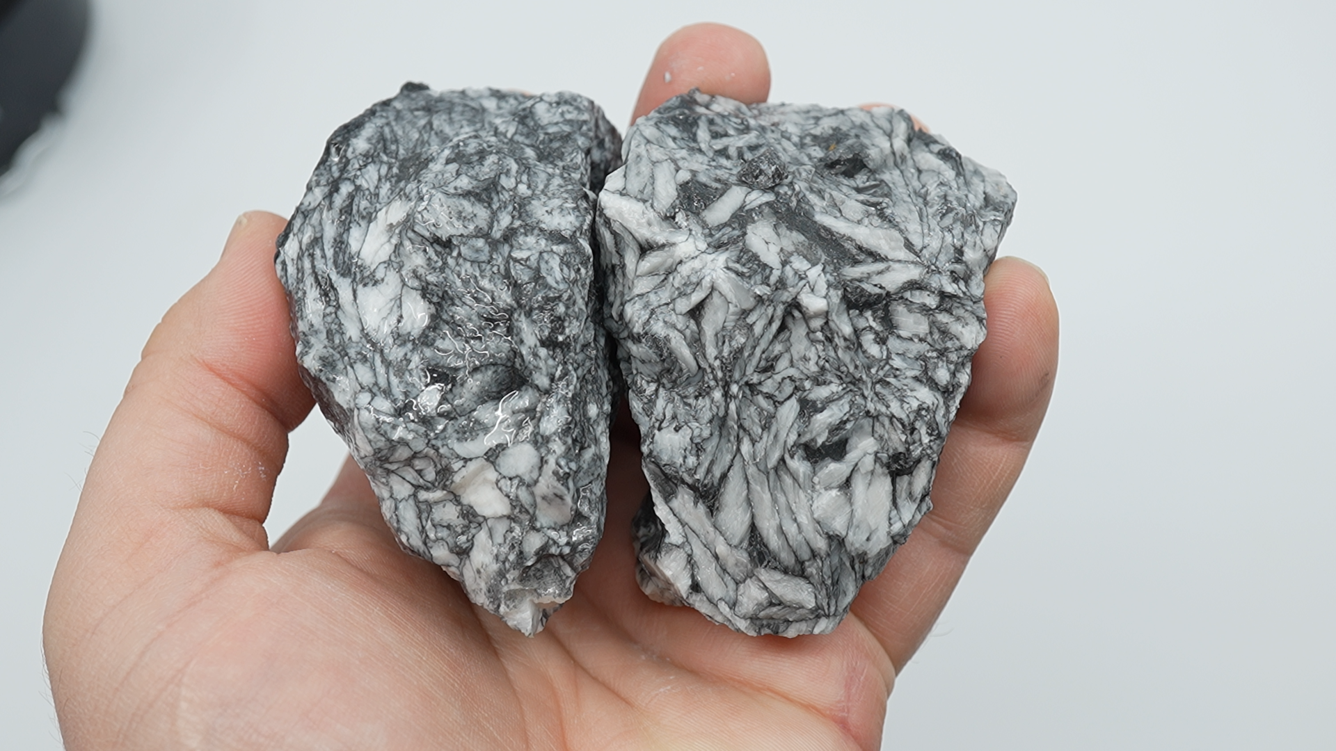 Pinolith / Pinolite Rough - Duo - LC-0116