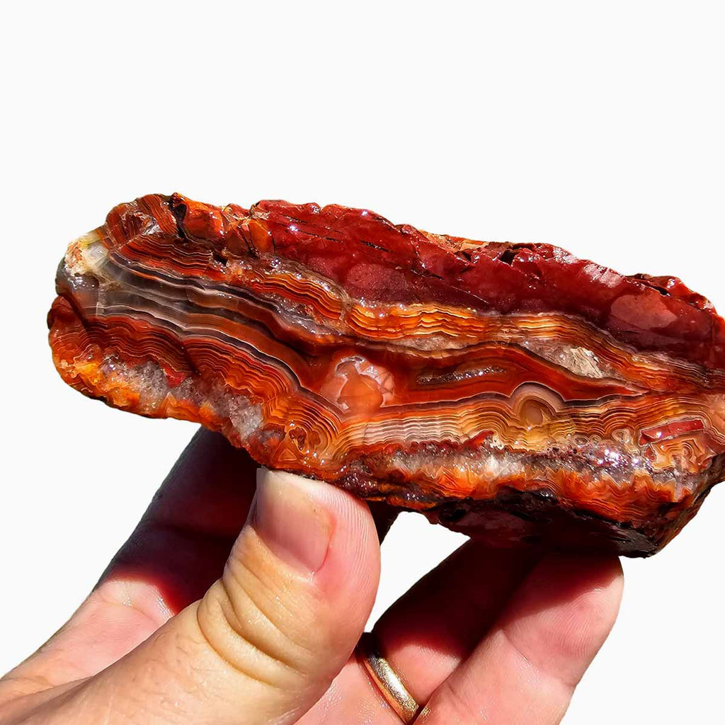 Lace Roug Laguna Lace Agate Cut Rough Chunk